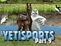 Joc Yeti Sports: Part 9 - Final Spit