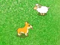 Joc Dog and sheep