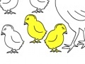 Joc Chicken Family: Coloring