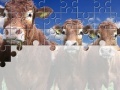 Joc Gorgeous Cows Jigsaw