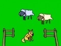 Joc Sheep!