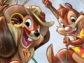 Joc Chip and Dale hidden numbers