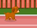 Joc Puppy racer