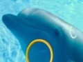 Joc Dolphin Tale 2 Hidden Alphabets