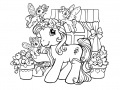 Joc My Little Pony: Crystal Princess Coloring Book