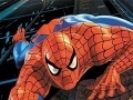 Joc Spider-Man: Puzzles