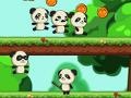 Joc Panda Shock Troop 