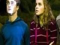 Joc Harry Potter: Puzzled Harry 