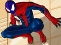Joc Spiderman Costume