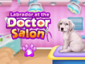 Joc Labrador at the doctor salon    