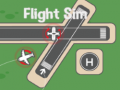 Joc Flight Sim