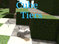 Joc Cube Tiers