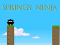Joc Springy Ninja