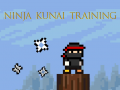 Joc Ninja Kunai Training