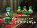 Joc Teenage Mutant Ninja Turtles: Ninja Training