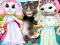 Joc White Kittens Bride Contest