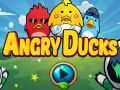 Joc Angry Ducks