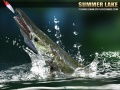 Joc Summer Lake 1.5