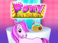 Joc Pony Pet Salon