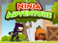 Joc Ninja Adventure