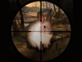 Joc Classical Rabbit Sniper Hunting 2019