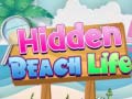 Joc Hidden Beach Life
