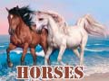 Joc Horses