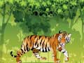 Joc Angry Tiger Coloring