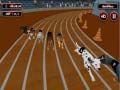 Joc Crazyl Dog Racing Fever