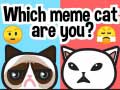Joc Which Meme Cat Are You?
