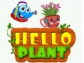 Joc Hello Plant 