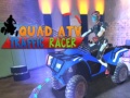 Joc Quad ATV Traffic Racer