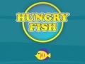 Joc Hungry Fish