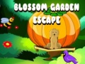 Joc Blossom Garden Escape