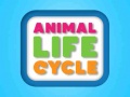 Joc Animal Life Cycle