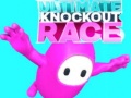 Joc Ultimate Knockout Race