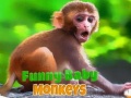 Joc Funny Baby Monkey