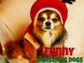 Joc Funny Christmas Dogs
