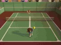 Joc Tennis Court
