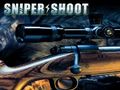 Joc Sniper Shooting