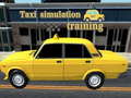 Joc Taxi simulation training