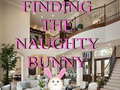 Joc Finding The Naughty Bunny