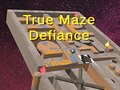 Joc True Maze Defiance