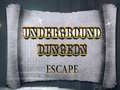 Joc Underground Dungeon Escape