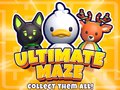 Joc Ultimate Maze! Collect Them All!