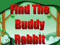 Joc Find The Buddy Rabbit