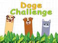 Joc Doge Challenge