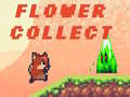 Joc Flower Collect