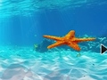 Joc Escape From Underwater Starfish