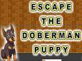 Joc Escape The Doberman Puppy